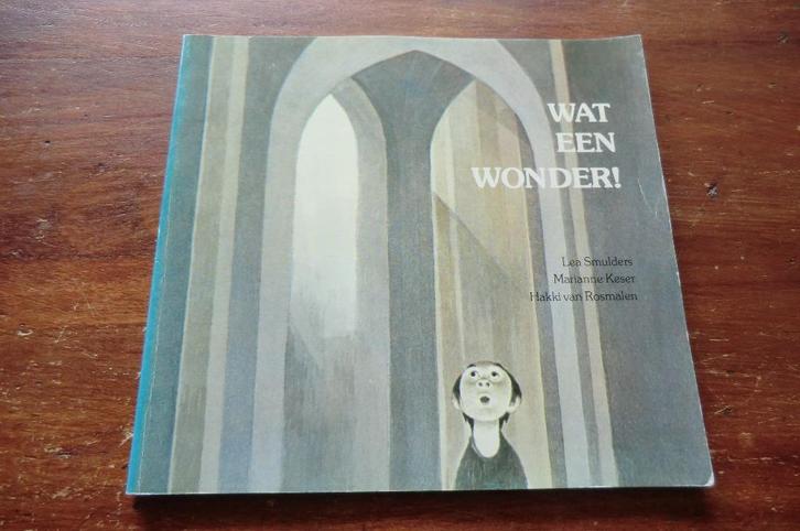 boek - Wat een wonder / over de St.Jan in Den Bosch, Boeken, Geschiedenis | Stad en Regio, Gelezen, Ophalen of Verzenden