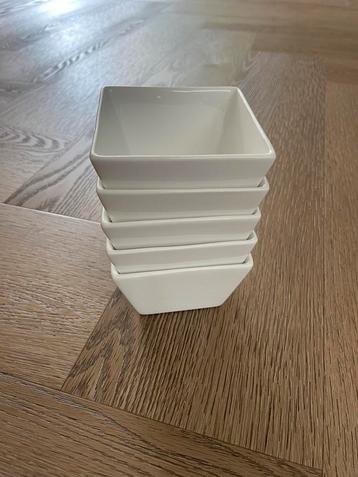 5 Witte Xenos Schaaltjes 9x9cm beschikbaar voor biedingen
