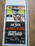 Italiaanse filmposter - Western met John Wayne - 1973, Verzamelen, Verzenden, A1 t/m A3, Film en Tv, Rechthoekig Staand