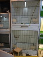 Broed kooi en  6 .maal, Dieren en Toebehoren, Ophalen of Verzenden, Hout, Broedkooi of Kweekkooi