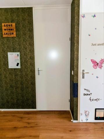 gezocht opdekdeur!! beschikbaar voor biedingen