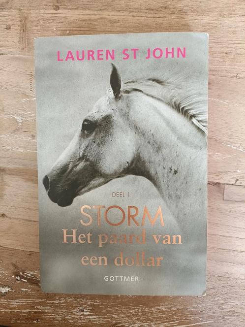 Lauren St John - Het paard van een dollar, Boeken, Kinderboeken | Jeugd | 10 tot 12 jaar, Zo goed als nieuw, Ophalen of Verzenden