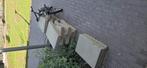Betontegels gratis 24 stuks, Tuin en Terras, Ophalen, Gebruikt, Beton, Terrastegels