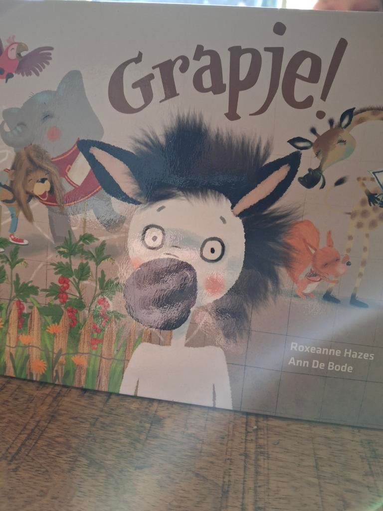 Grapje! Roxeanne Hazes - Kinderboek, Ophalen, Zo goed als nieuw, Roxeanne Hazes, 2 tot 3 jaar