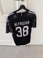 Kristian Hlynsson gesigneerd AFC Ajax 23/24 Uit Shirt, Verzamelen, Sportartikelen en Voetbal, Ophalen of Verzenden, Zo goed als nieuw