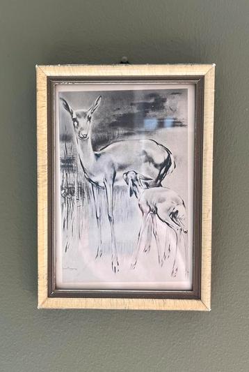 Vintage lijstje met print van hert beschikbaar voor biedingen