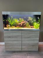 Oase HighLine optiwhite 300 eiken incl filter lamp CO2 set, Ophalen, Zo goed als nieuw, Leeg aquarium