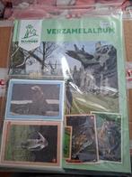 Jumbo Blijdorp (like panini), Verzamelen, Supermarktacties, Jumbo, Ophalen of Verzenden