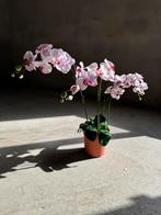 Grote kunstplant orchidee roze, Ophalen, Nieuw