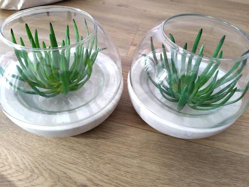 Windlichten stolp met kunstplantjes, Huis en Inrichting, Woonaccessoires | Stolpen, Zo goed als nieuw, Ophalen