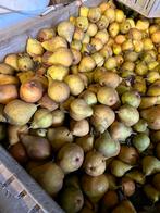 Stoofperen Gieser Wildeman, Ophalen