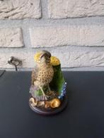 verschillende vogels van vogelwelt collection, Verzamelen, Ophalen of Verzenden, Huis en Inrichting