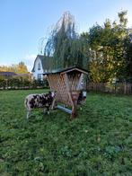 Hooiruif
Douglas met betonplex dak