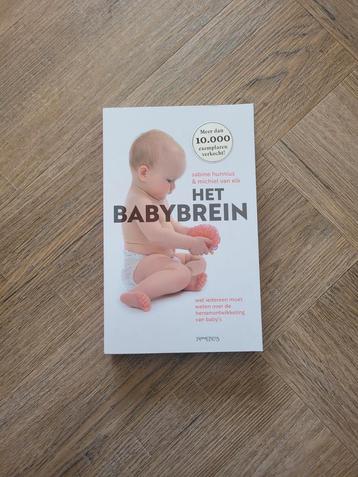 Sabine Hunnius - Het babybrein beschikbaar voor biedingen