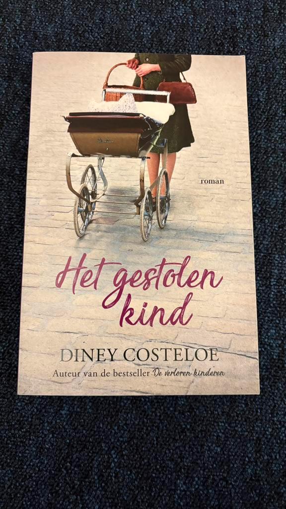 Diney Costeloe - Het gestolen kind, Boeken, Literatuur, Zo goed als nieuw, Ophalen of Verzenden