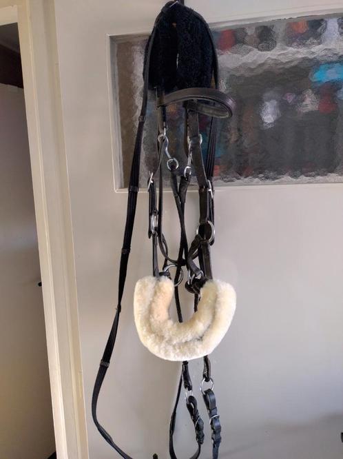 Bitloos hoofdstel full, Dieren en Toebehoren, Paarden en Pony's | Hoofdstellen en Tuigage, Gebruikt, Overige soorten, Ophalen of Verzenden