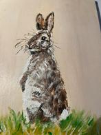 Haasje, Ophalen of Verzenden