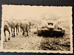 100%orig wo2 foto panzertank front
Nr3, Ophalen of Verzenden, Duitsland, Foto of Poster
