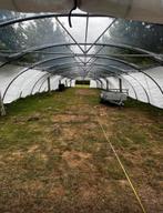 Rovero Tunnelkas 42 meter lang breed 9,6 m  2,4/3 hoog, Gebruikt, Rovero, Overige materialen, Info@rovero.nl