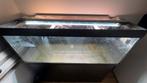 Aquarium, Juwel Rio 450, 450 liter, compleet aquarium, Ophalen, Zo goed als nieuw, Leeg aquarium