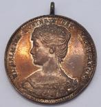 Draagpenning inhuldiging Wilhelmina 1898, Postzegels en Munten, Ophalen of Verzenden, Overige materialen, Nederland