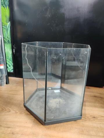Hexagon aquarium 35x35x35cm beschikbaar voor biedingen