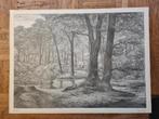 Simon Moulijn - Teutoburger Wald - lithografie 1907, Ophalen of Verzenden