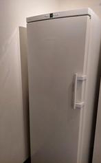 Liebherr No Frost XXL Vriezer A++ - 8 Lades, Gebruikt, 160 cm of meer, Energieklasse A of zuiniger, Ophalen