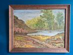 Schilderij landschap +- 55 bij 45  cm, Antiek en Kunst, Ophalen