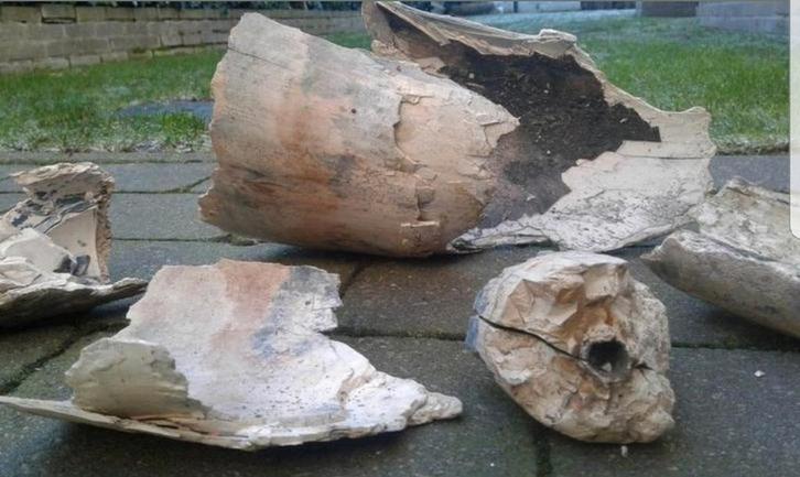 Wolharige mammoet tand kies stoottand Pleistoceen Mammuthus, Verzamelen, Mineralen en Fossielen, Fossiel, Ophalen of Verzenden