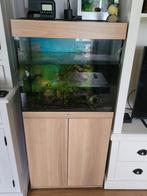 Juwel lido aquarium 120 liter compleet met pomp verwarming., Dieren en Toebehoren, Vissen | Aquaria en Toebehoren, Zo goed als nieuw