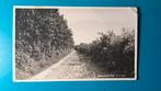Blesse Berkenpad 1940 militairen verzonden Breezand, Ophalen of Verzenden, 1920 tot 1940, Gelopen, Friesland