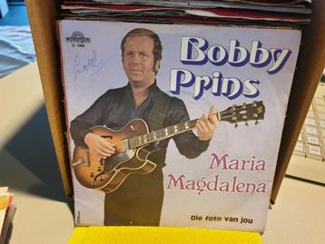 Bobby Prins - Maria Magdalena (f1) beschikbaar voor biedingen
