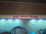 Koi spectrum led lamp voor opgroei etc!, Tuin en Terras, Vijver-toebehoren, Ophalen, Zo goed als nieuw
