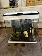 Aquarium 50liter, Dieren en Toebehoren, Vissen | Aquaria en Toebehoren, Ophalen of Verzenden