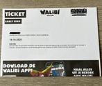 1 kaartje voor Walibi Fright Nights 18 oktober, Tickets en Kaartjes, Eén persoon