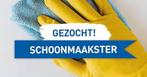 Schoonmaakster gezocht, Overige niveaus, Overige vormen