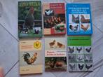 6 boeken over hoenders en dwerghoenders, Ophalen of Verzenden, Zo goed als nieuw