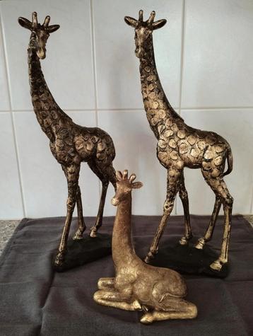 3 Giraffe Beelden - Zo Goed Als Nieuw beschikbaar voor biedingen