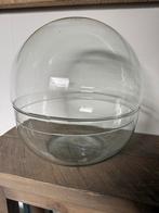 Glazen Stolp met Schaal / Terrarium / Ecosysteem, Ophalen, Nieuw