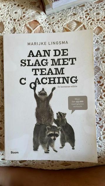 Marijke Lingsma - Aan de slag met teamcoaching beschikbaar voor biedingen