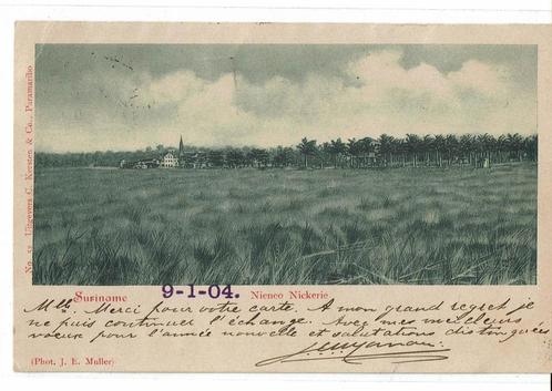 ansichtkaart suriname, Verzamelen, Ansichtkaarten | Buitenland, Gelopen, Buiten Europa, Voor 1920, Ophalen of Verzenden