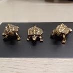 SCHILDPAD LANDSCHILDPADDEN, Schildpad, Tam, 0 tot 2 jaar