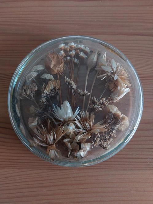 Droogbloemen in glas - puntgaaf, prachtig!, Huis en Inrichting, Woonaccessoires | Droogbloemen, Zo goed als nieuw, Ophalen of Verzenden