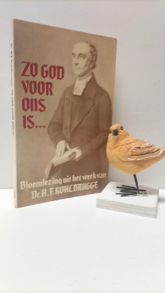 Kohlbrugge, Dr. H.F.; Zo God voor ons is, Boeken, Godsdienst en Theologie, Gelezen, Christendom | Protestants, Ophalen of Verzenden
