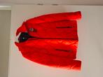 Rode dames winterjas, Ophalen of Verzenden, Zo goed als nieuw, Rood