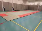 Judo Matten Set - Complete Vloer, Ophalen, Gebruikt, Fitnessmat