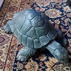 Bronzen schildpad, Ophalen of Verzenden, Zo goed als nieuw, Dier
