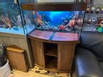 Juwel vision 180 noten led verlichting , filter , verwarming, Ophalen, Gebruikt, Leeg aquarium