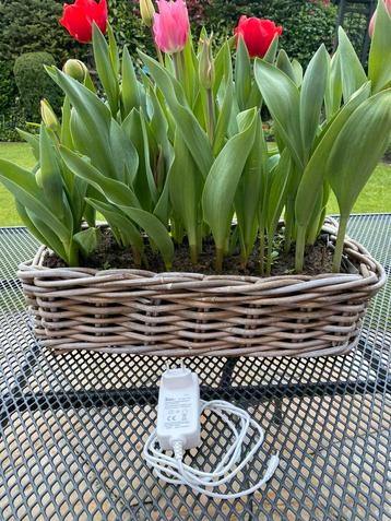 KTEC AC Adapter KSAS0361200250HE beschikbaar voor biedingen